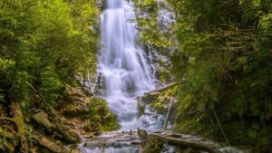 ground view of mingo falls in the great smoky mountains near Gatlinburg, Tennessee, USA